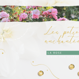 Potion Enchantée - La Rose