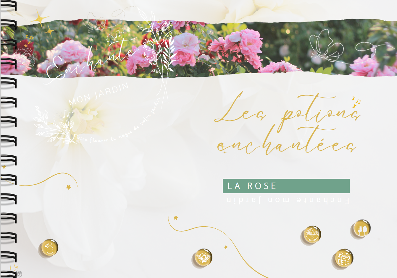 Potion Enchantée - La Rose